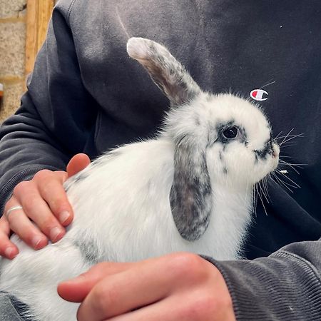 Sharlands Farm Bed And Breakfast バッド エクステリア 写真