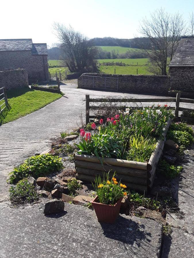 Sharlands Farm Bed And Breakfast バッド エクステリア 写真