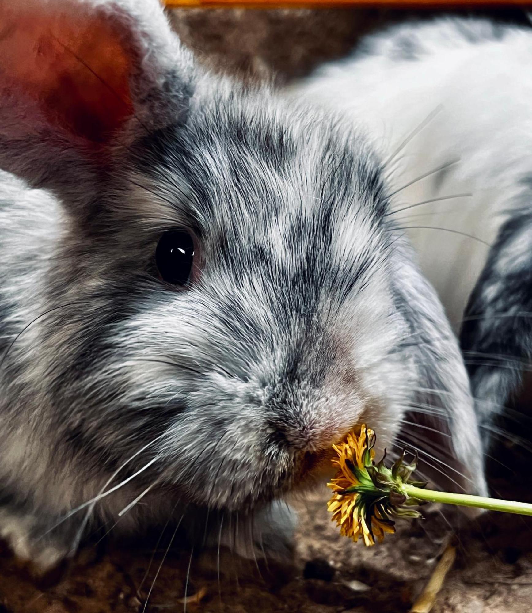 Sharlands Farm Bed And Breakfast バッド エクステリア 写真