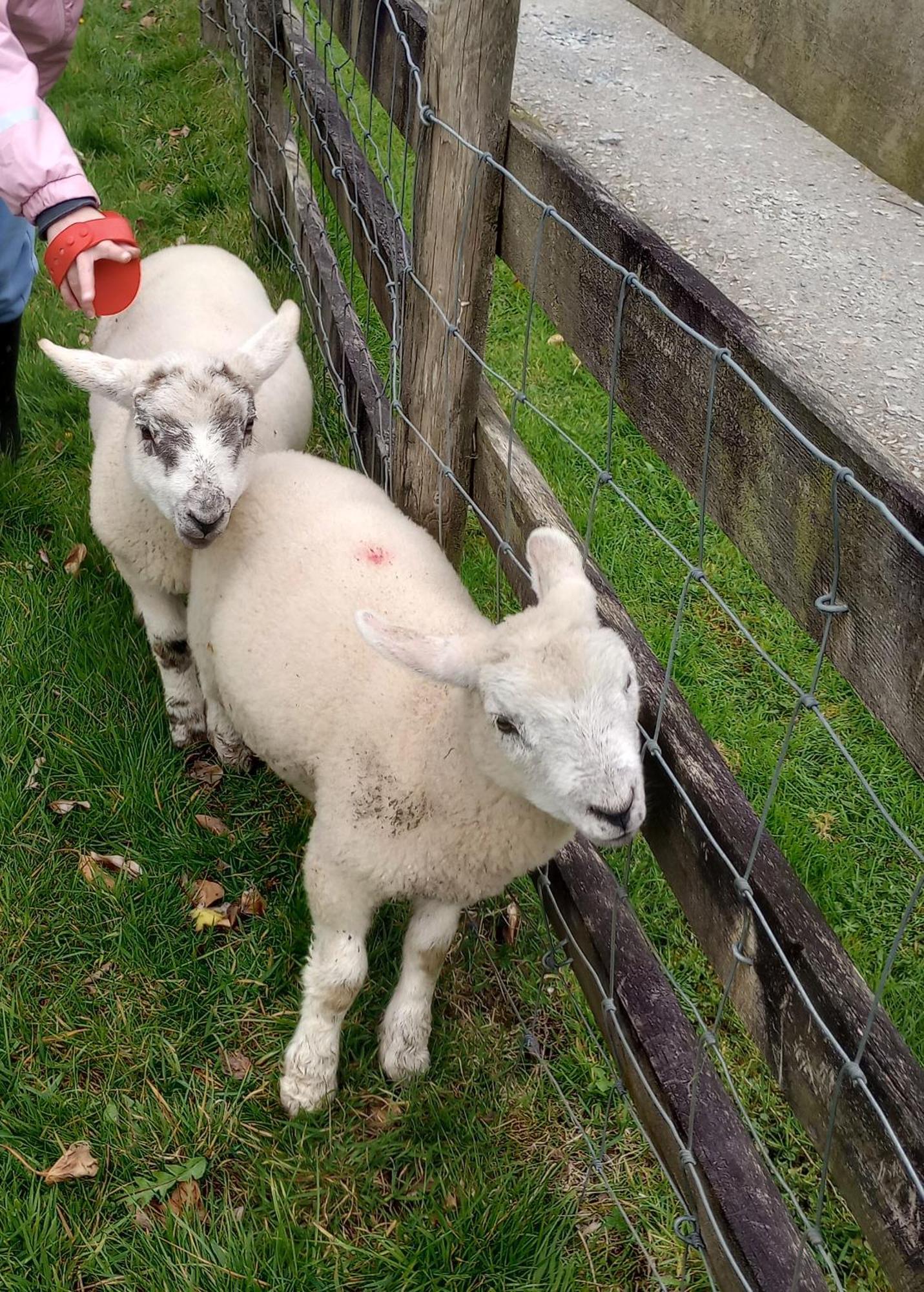 Sharlands Farm Bed And Breakfast バッド エクステリア 写真