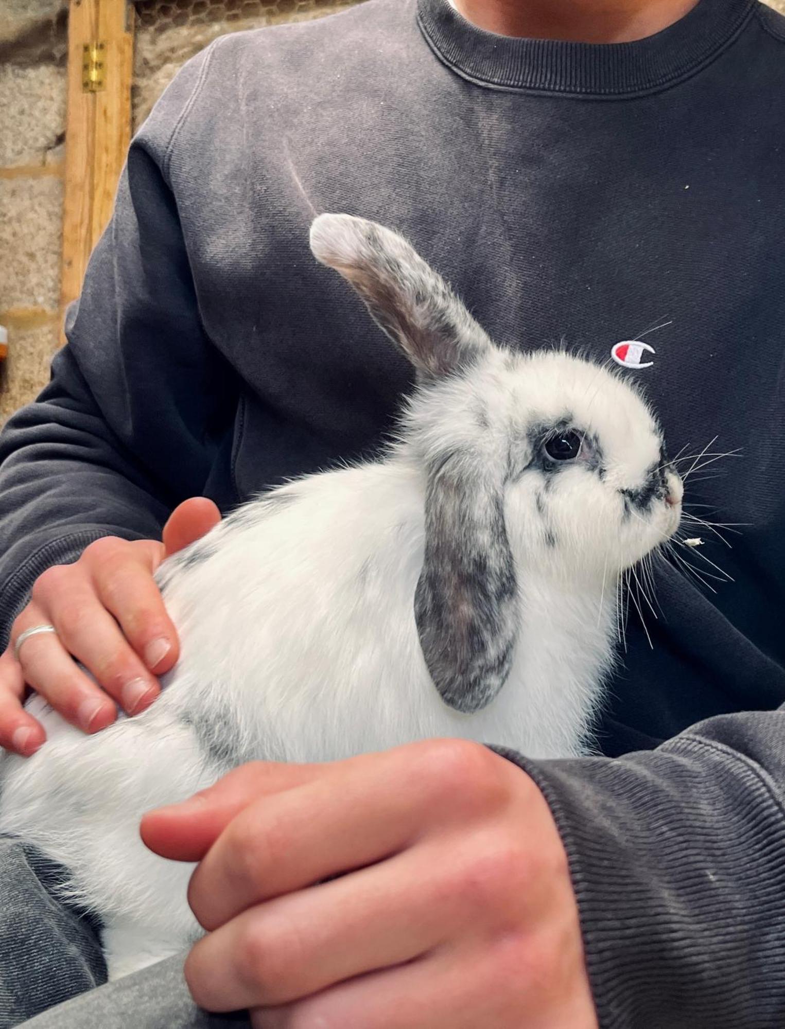 Sharlands Farm Bed And Breakfast バッド エクステリア 写真
